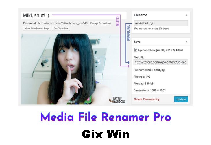 Free Download Media File Renamer Pro