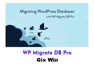 Free Download WP Migrate DB Pro