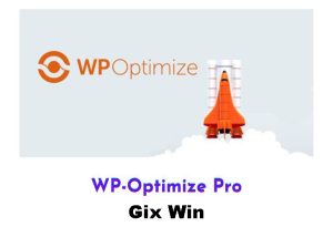 Free Download WP Optimize Premium