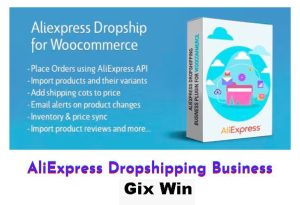 Free Download AliExpress Dropshipping Business